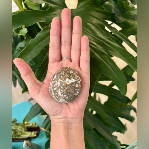 Ocean Jasper Palmstone - Picture 4 of 5